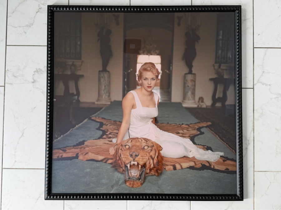 Renowned American Photographer Slim Aarons Beauty and the Beast (1959) Featuring Lady Daphne Cameron 38' X 38' [Photo 2]
