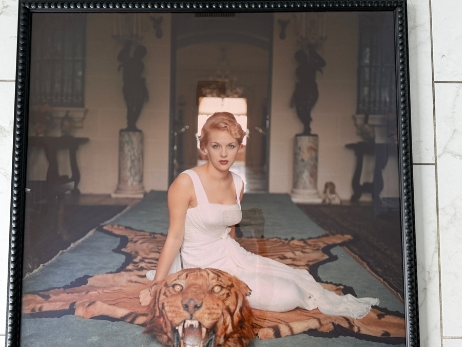 Renowned American Photographer Slim Aarons Beauty and the Beast (1959) Featuring Lady Daphne Cameron 38' X 38' [Photo 4]