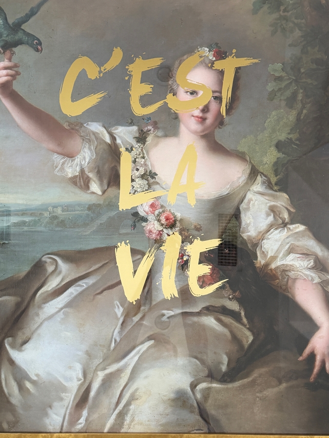 C'est La Vie by Lara Fowler Framed 32 X 40 Retails $745 [Photo 2]