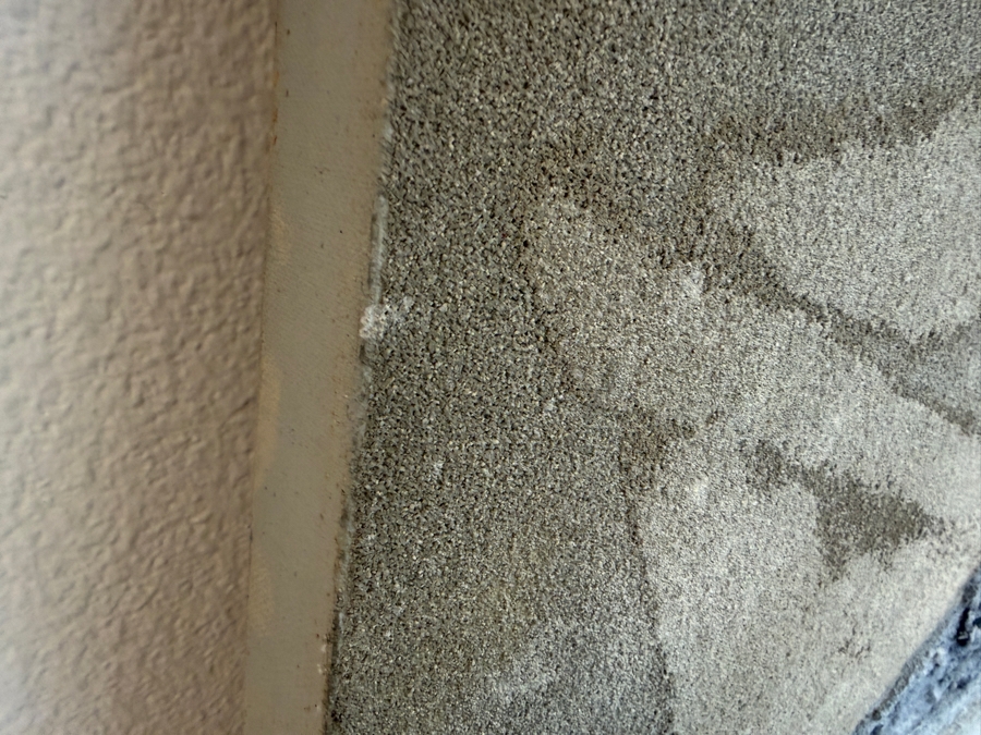 Gerrit Greve (1948-2024, Cardiff by the Sea, CA) Original Acrylic Sand Painting On Canvas Titled 'Elegy #15' 1994 Signed Verso 60 X 30 Estimate $1,800 - $2,100 [Photo 7]