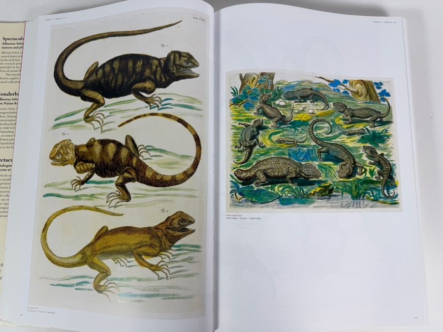 Just Added - Hardcover Book Cabinet of Natural Curiosities - Monumental Reproduction of the 18th-Century Natural History Collection by Amsterdam Pharmacist Albertus Seba Published by Taschen Retails $150 [Photo 5]