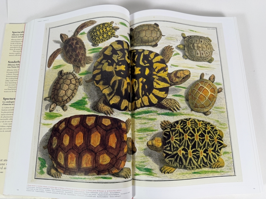 Just Added - Hardcover Book Cabinet of Natural Curiosities - Monumental Reproduction of the 18th-Century Natural History Collection by Amsterdam Pharmacist Albertus Seba Published by Taschen Retails $150 [Photo 6]