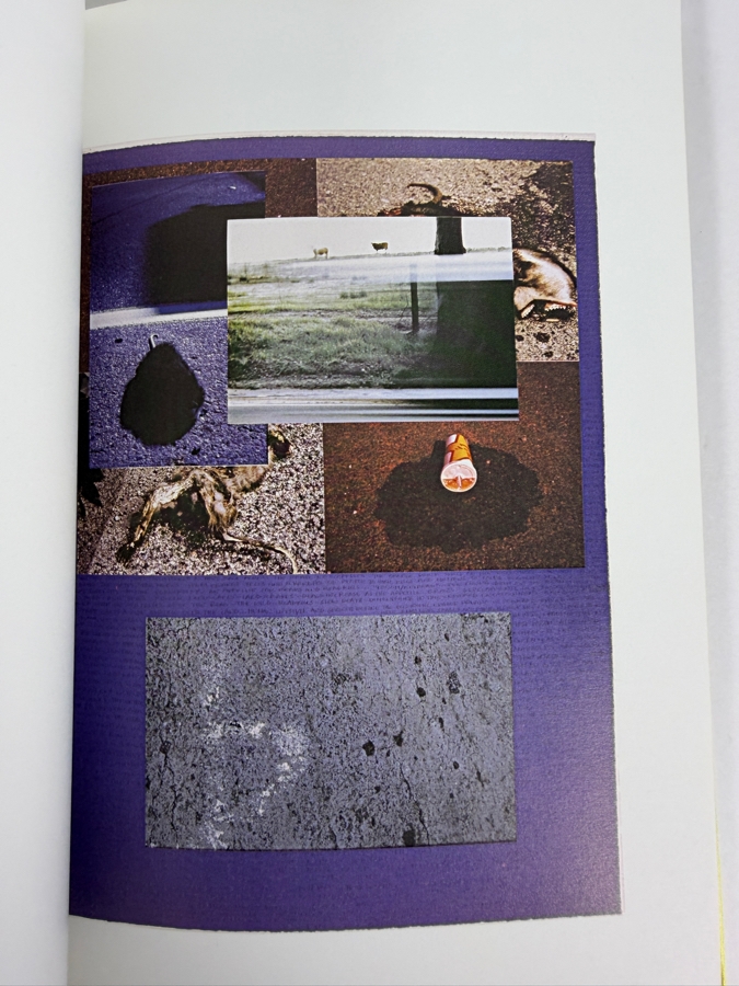 Just Added - Signed Exhibition Catalogue 'Jerry Burchfield: Habitat' Published by the Laguna Art Museum in 2000 [Photo 4]