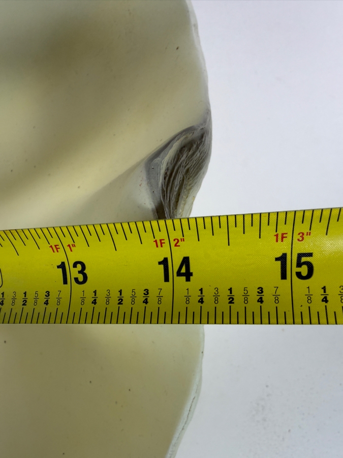 Just Added - Large Faux Resin Clam Shell Bowl 24W X 14D X 6.5H [Photo 5]