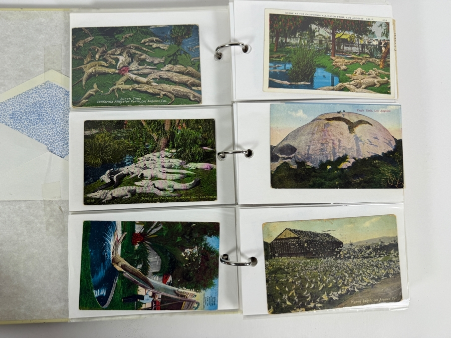 Just Added - Collection of (240) Antique / Vintage California Postcards [Photo 32]
