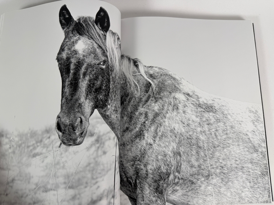 Just Added - Hardcover Photography Book Wild Horses of Cumberland Island by Artist Anouk Masson Krantz [Photo 5]