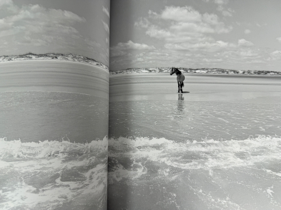Just Added - Hardcover Photography Book Wild Horses of Cumberland Island by Artist Anouk Masson Krantz [Photo 4]