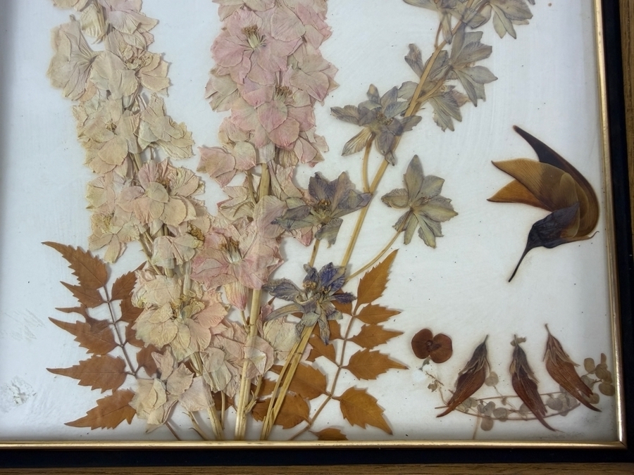 Natural California Flowers San Diego Pressed Botanicals Art Featuring Delphiniums And Leaf Humingbirds Oak Framed 11W X 13H [Photo 5]