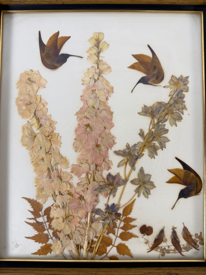 Natural California Flowers San Diego Pressed Botanicals Art Featuring Delphiniums And Leaf Humingbirds Oak Framed 11W X 13H [Photo 2]