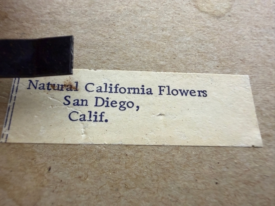 Natural California Flowers San Diego Pressed Botanicals Art Featuring Delphiniums And Leaf Humingbirds Oak Framed 11W X 13H [Photo 6]