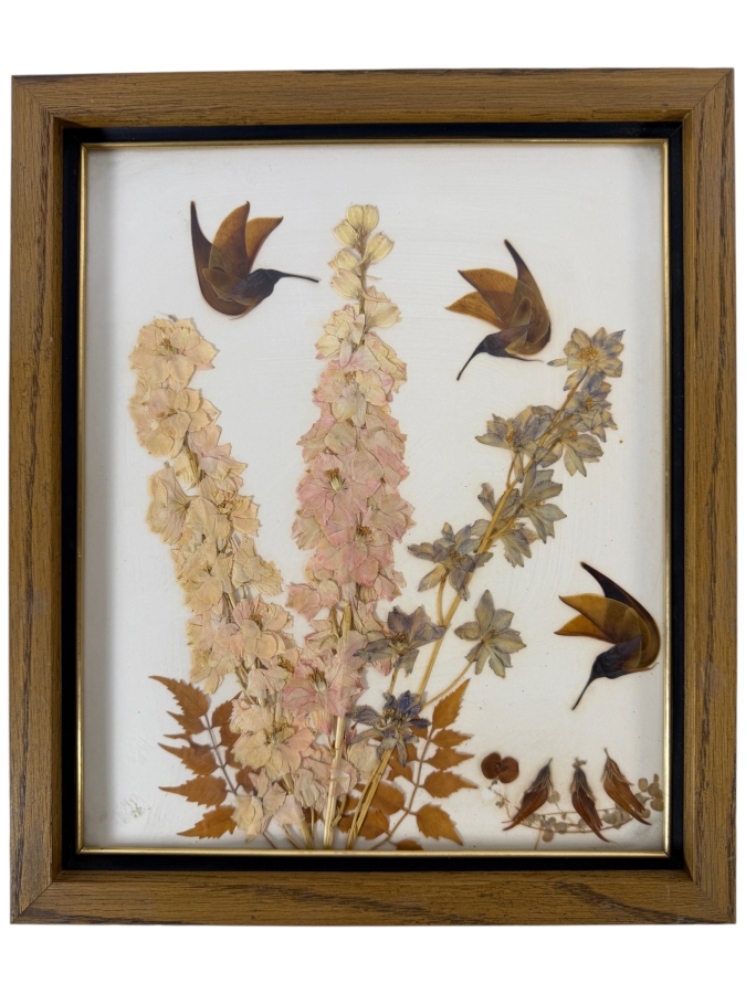 Natural California Flowers San Diego Pressed Botanicals Art Featuring Delphiniums And Leaf Humingbirds Oak Framed 11W X 13H