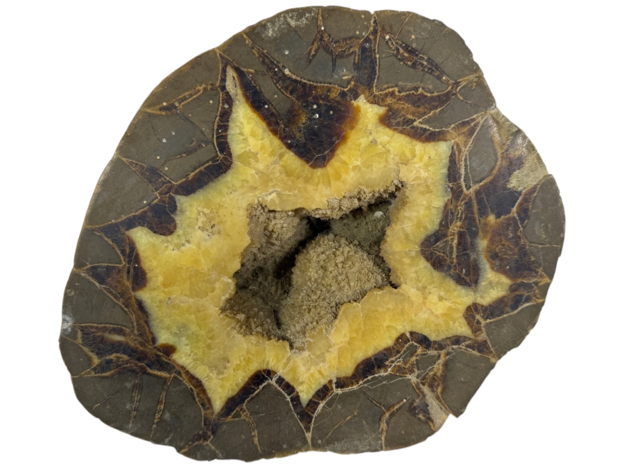 Polished Natural Septarian Dragon Stone Geode 8.5W