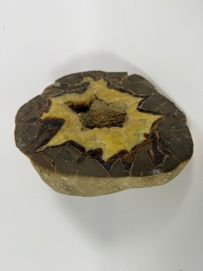 Polished Natural Septarian Dragon Stone Geode 8.5W [Photo 4]