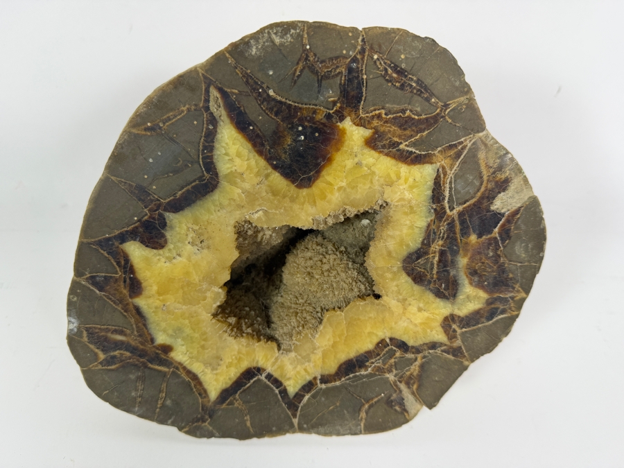 Polished Natural Septarian Dragon Stone Geode 8.5W [Photo 2]