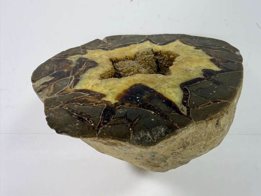 Polished Natural Septarian Dragon Stone Geode 8.5W [Photo 3]