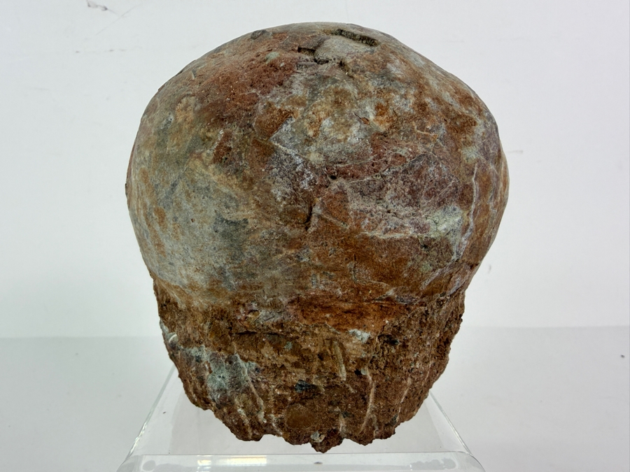 Genuine Fossilized Dinosaur Egg Still Embedded in its Natural Stone Matrix Base Most Likely Originating from a Hadrosaur (Duck-Billed Dinosaur) 7'W X 6'D X 5.5'H Weighs 6.96lbs [Photo 4]