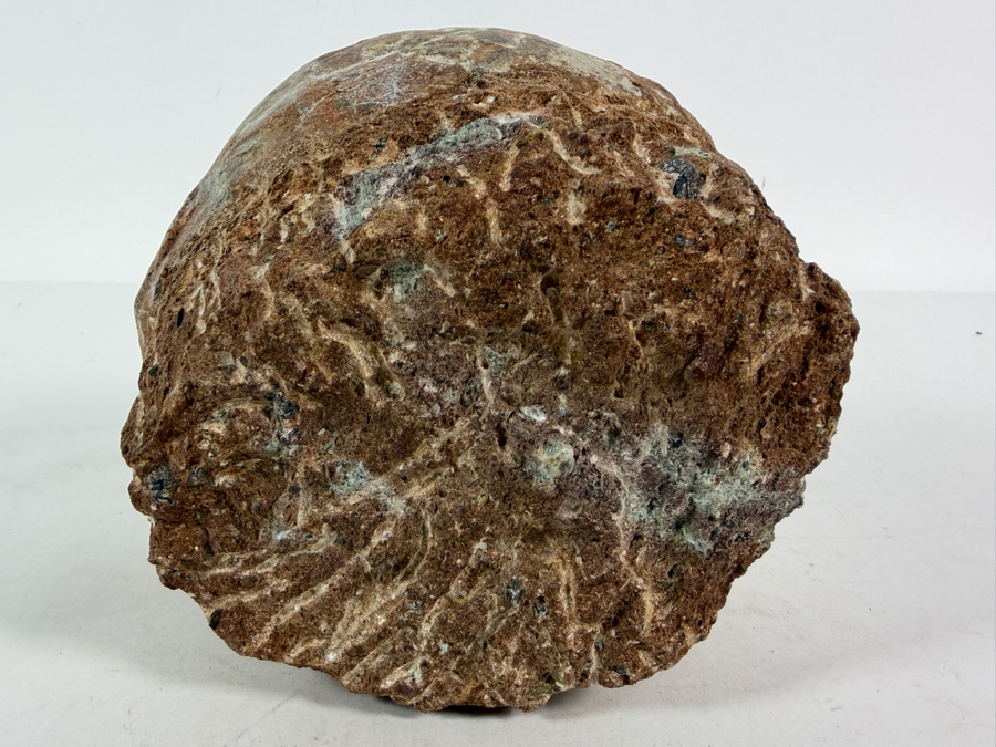 Genuine Fossilized Dinosaur Egg Still Embedded in its Natural Stone Matrix Base Most Likely Originating from a Hadrosaur (Duck-Billed Dinosaur) 7'W X 6'D X 5.5'H Weighs 6.96lbs [Photo 8]
