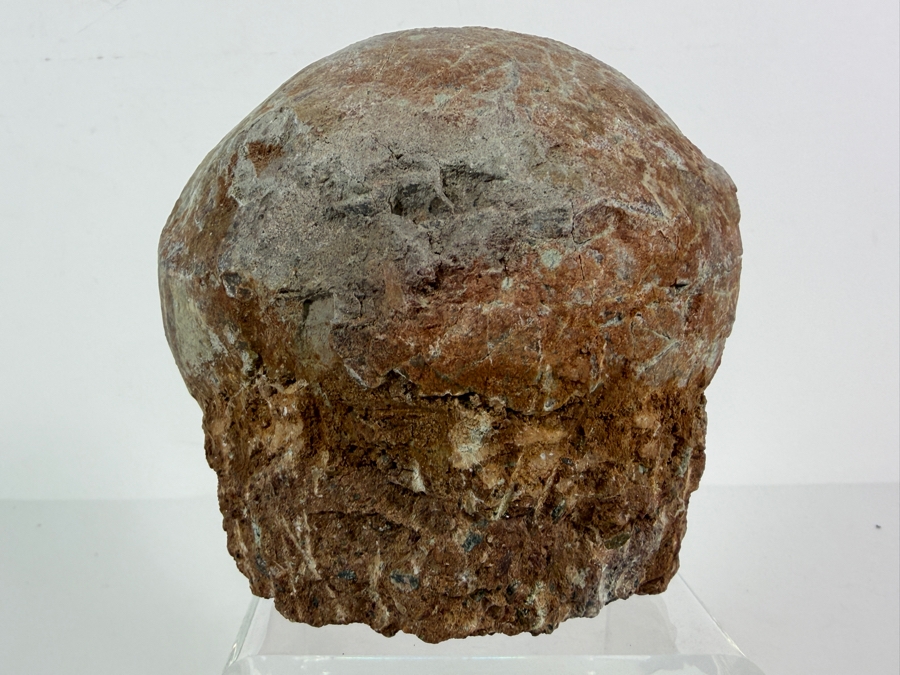 Genuine Fossilized Dinosaur Egg Still Embedded in its Natural Stone Matrix Base Most Likely Originating from a Hadrosaur (Duck-Billed Dinosaur) 7'W X 6'D X 5.5'H Weighs 6.96lbs [Photo 7]