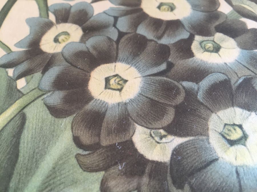 Lithograph Botanical Art Pair In Oval Frames [Photo 10]