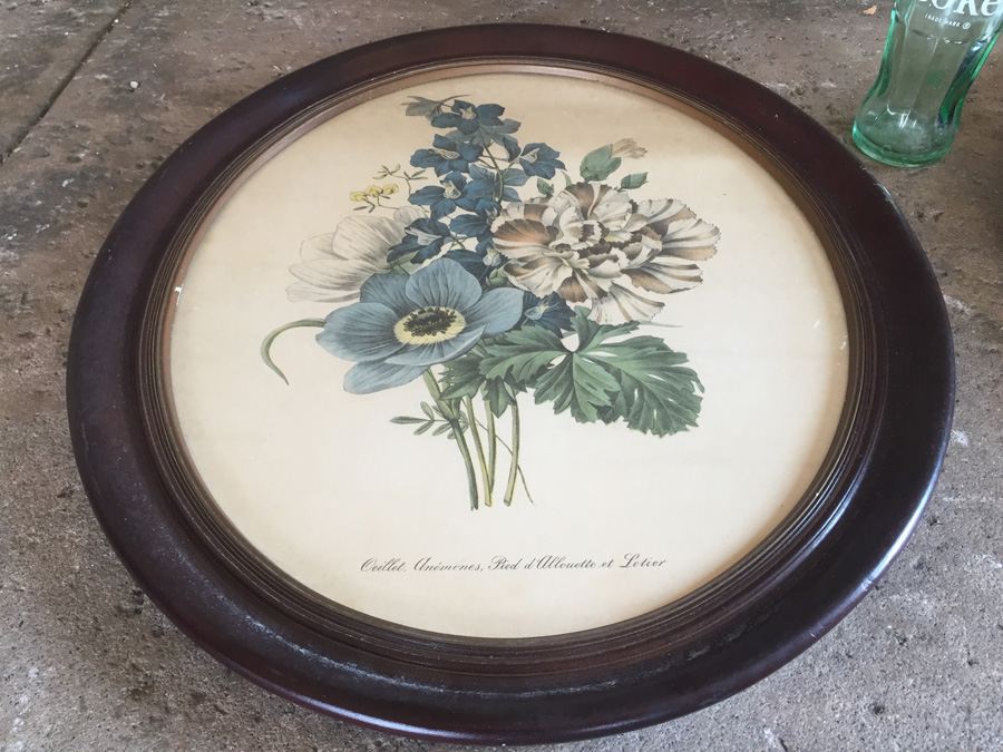 Lithograph Botanical Art Pair In Oval Frames [Photo 6]