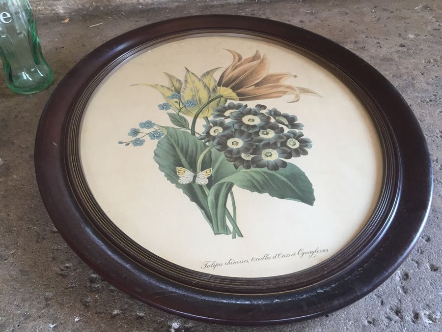 Lithograph Botanical Art Pair In Oval Frames [Photo 9]