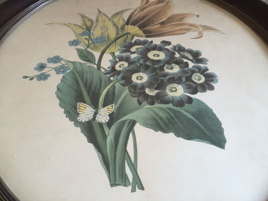 Lithograph Botanical Art Pair In Oval Frames [Photo 8]