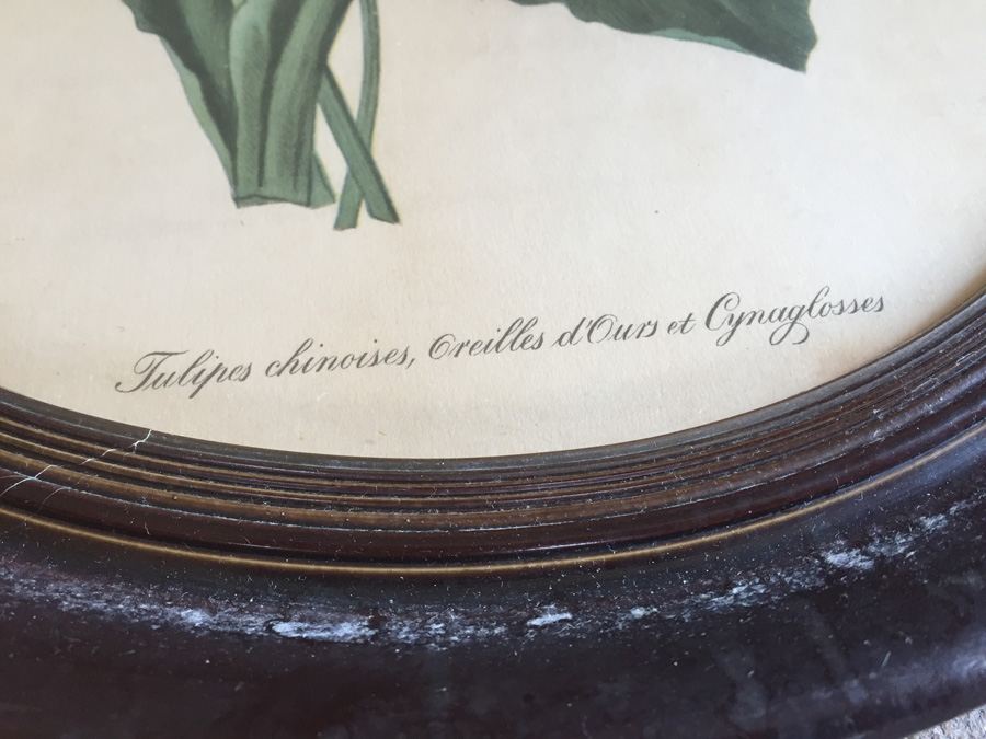 Lithograph Botanical Art Pair In Oval Frames [Photo 7]