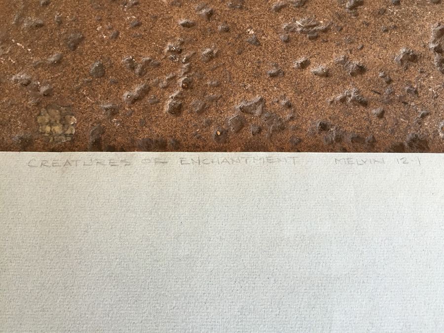 Original Urban Artwork Titled 'Creatures Of Enchantment' Melvin 12-1 (MCF) [Photo 8]