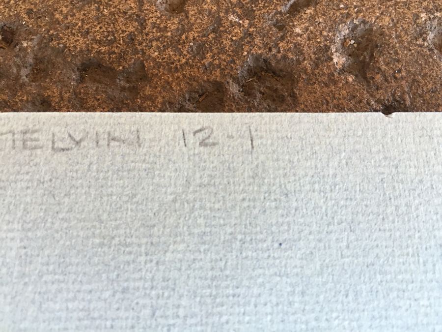 Original Urban Artwork Titled 'Creatures Of Enchantment' Melvin 12-1 (MCF) [Photo 10]