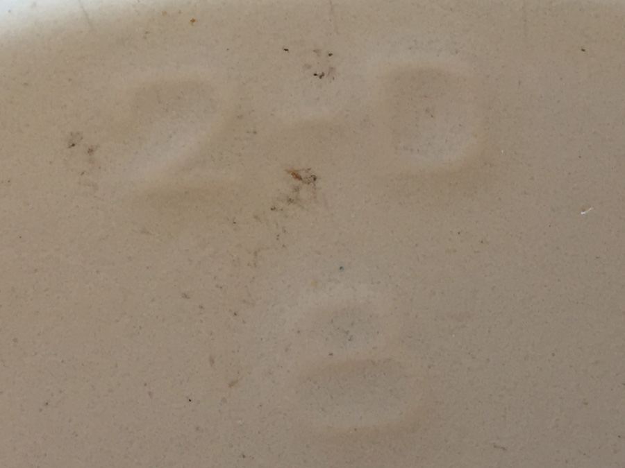 Vintage Descoware Autumn Leaf Dutch Oven - Made in Belgium [Photo 11]