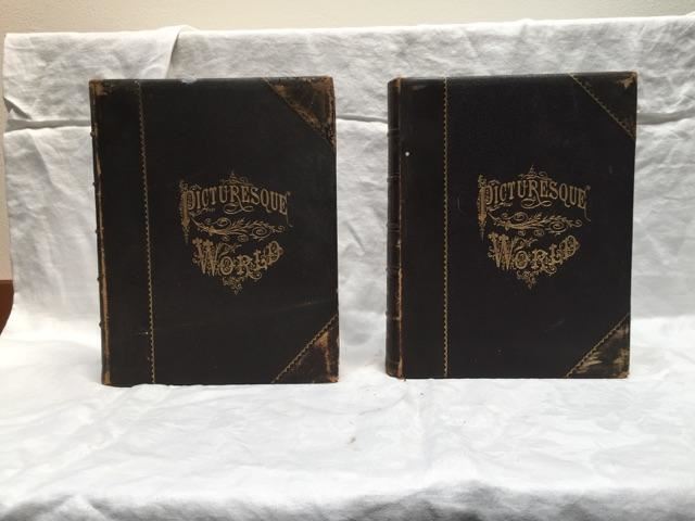 Pair Of Leather Bound Books - The Picturesque World - 1875 [Photo 2]