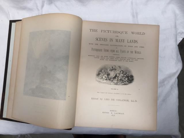 Pair Of Leather Bound Books - The Picturesque World - 1875 [Photo 10]