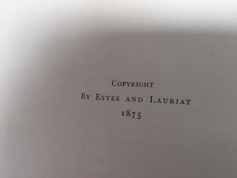 Pair Of Leather Bound Books - The Picturesque World - 1875 [Photo 5]