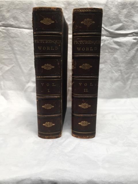Pair Of Leather Bound Books - The Picturesque World - 1875 [Photo 1]