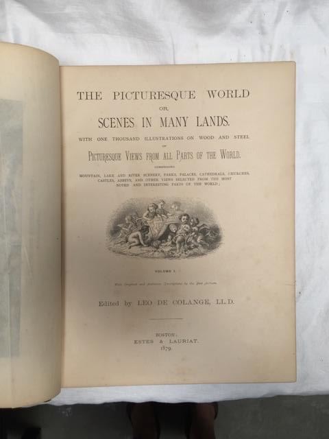 Pair Of Leather Bound Books - The Picturesque World - 1875 [Photo 4]