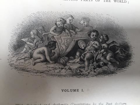 Pair Of Leather Bound Books - The Picturesque World - 1875 [Photo 6]