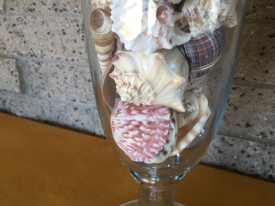 Lidded Tall Glass Vase Filled With Shells [Photo 5]