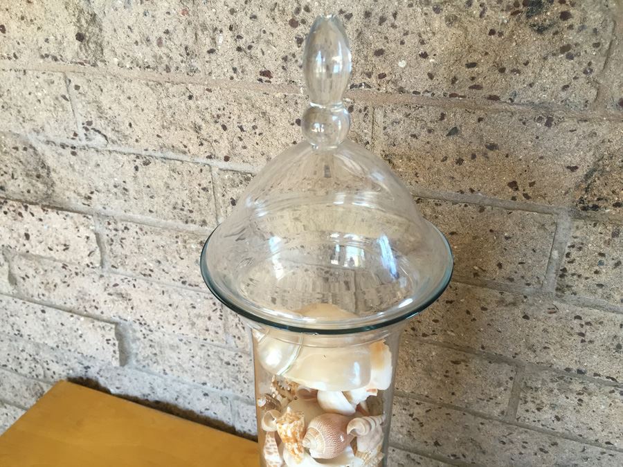 Lidded Tall Glass Vase Filled With Shells [Photo 2]