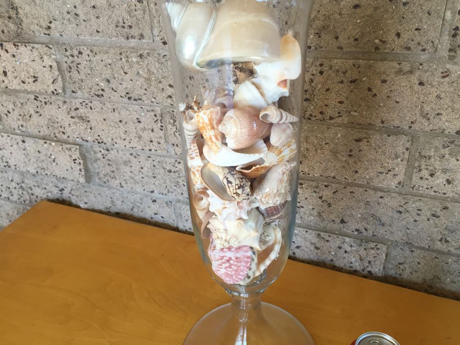 Lidded Tall Glass Vase Filled With Shells [Photo 3]