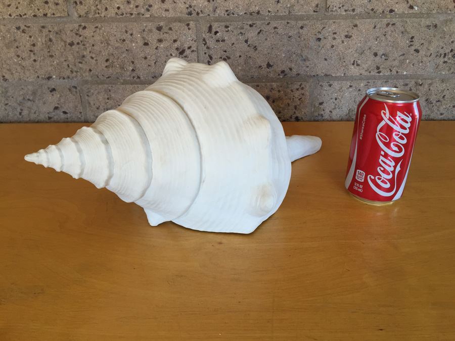 White Decorative Conch Shell (Manufactured)