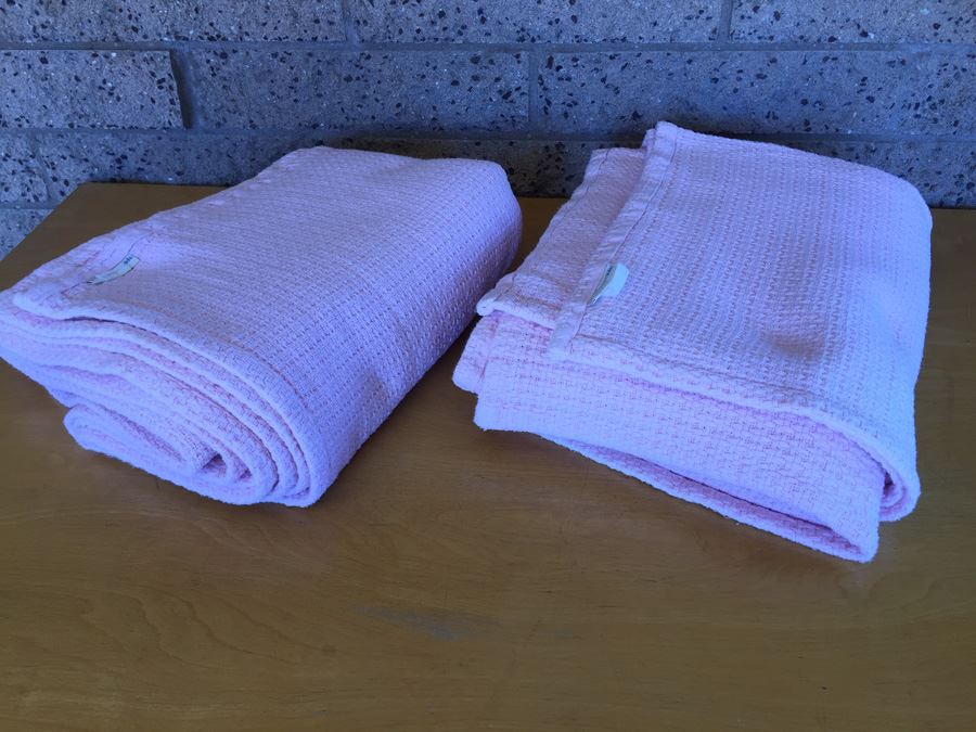 Pair Of Pink Pottery Barn Kids Blanket [Photo 3]